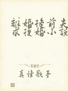 离婚后前夫哭着求复婚小说免费完整在线阅读