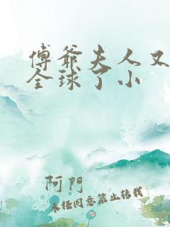 傅爷夫人又惊艳全球了小