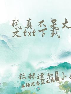 我真不是大佬全文txt下载