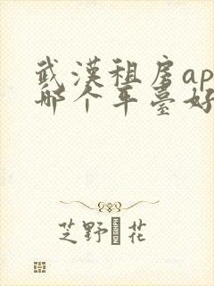 武汉租房app哪个平台好