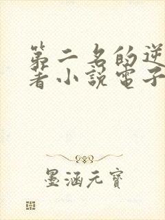 第二名的逆袭原著小说电子版