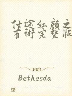 仕途红颜之驭娇有术完整版免费阅读