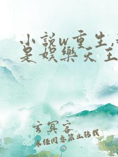小说w重生,我是娱乐天王》