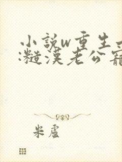 小说w重生七零:糙汉老公宠妻成瘾》