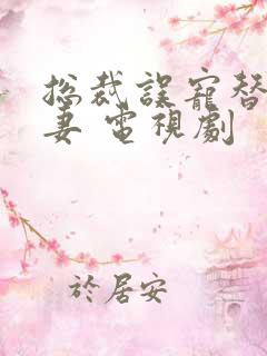 总裁误宠替身甜妻 电视剧