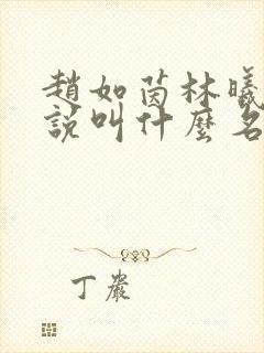 赵如茵林曦安小说叫什么名字