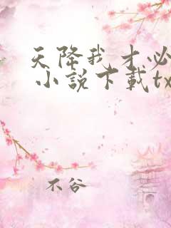 天降我才必有用 小说下载txt