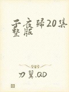 子夜归20集完整版