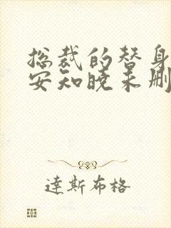 总裁的替身前妻安知晓未删减