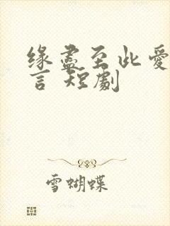 缘尽至此爱不再言 短剧