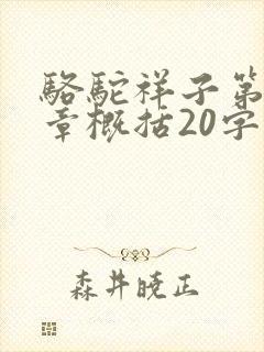 骆驼祥子第20章概括20字