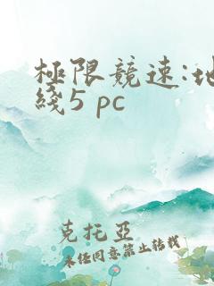 极限竞速:地平线5 pc