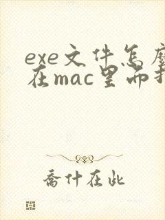 exe文件怎么在mac里面打开