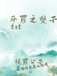 斗罗之双子斗罗 txt