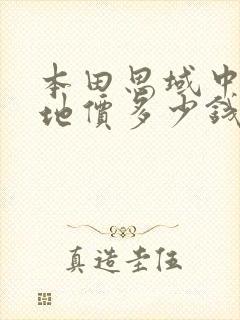 本田思域中配落地价多少钱