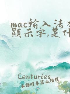 mac输入法不显示字,是什么情况