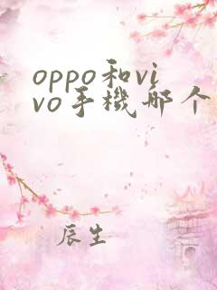 oppo和vivo手机哪个更好