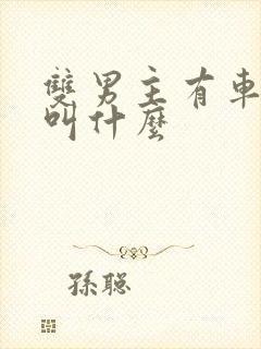 双男主有车动漫叫什么