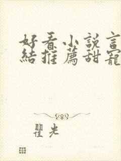 好看小说言情完结推荐甜宠文