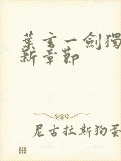 叶玄一剑独尊最新章节