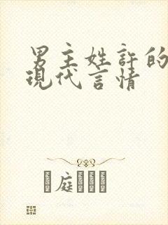 男主姓许的小说现代言情