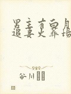 男主有白月光的追妻火葬场文