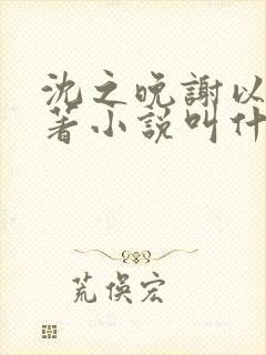 沈之晚谢以安原著小说叫什么