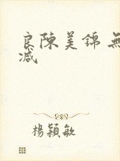 良陈美锦 无删减
