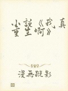 小说《我真没想重生啊》