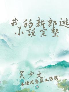 我的新郎逃婚了 小说完整