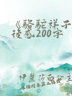《骆驼祥子》读后感200字