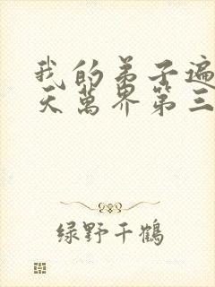 我的弟子遍布诸天万界第三季