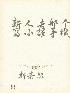 新人去哪个平台写小说手机