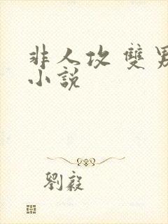 非人攻 双男主小说