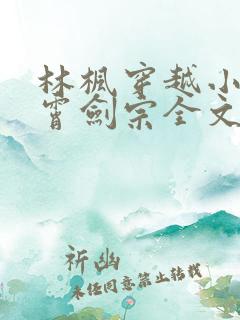 林枫穿越小说神霄剑宗全文阅读