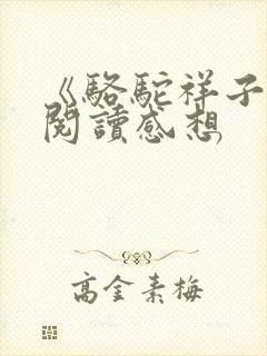 《骆驼祥子》的阅读感想