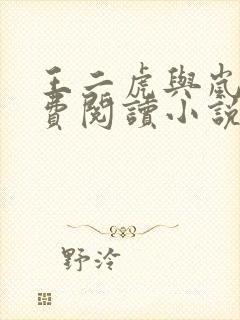 王二虎与岚婶免费阅读小说