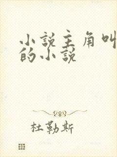 小说主角叫林宇的小说