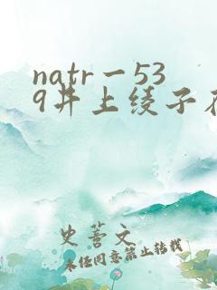 natr一539井上绫子在线播放