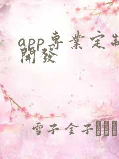 app专业定制开发