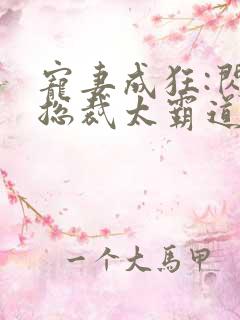 宠妻成狂:闪婚总裁太霸道