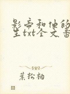 影帝和他的傅先生txt全文番外