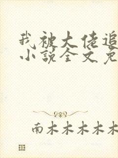 我被大佬追着跑小说全文免费阅读