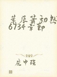 叶辰萧初然最新6734章节