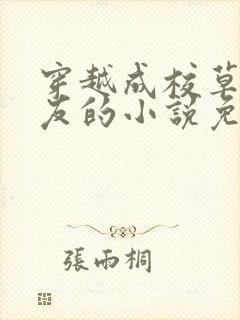 穿越成校草前男友的小说免费阅读