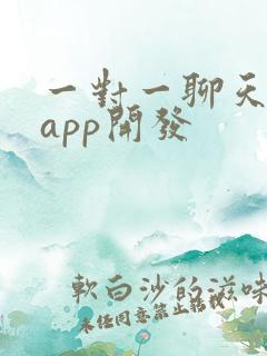一对一聊天交友app开发