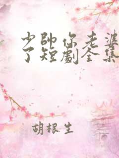 少帅你老婆又跑了短剧全集大结局