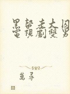 黑帮老大囚禁我电视剧双男主