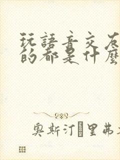 玩语音交友软件的都是什么人