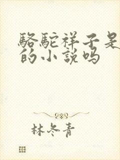 骆驼祥子是老舍的小说吗